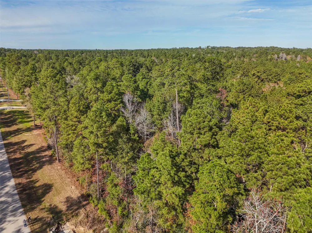 Windmill Road New Waverly, TX 77358