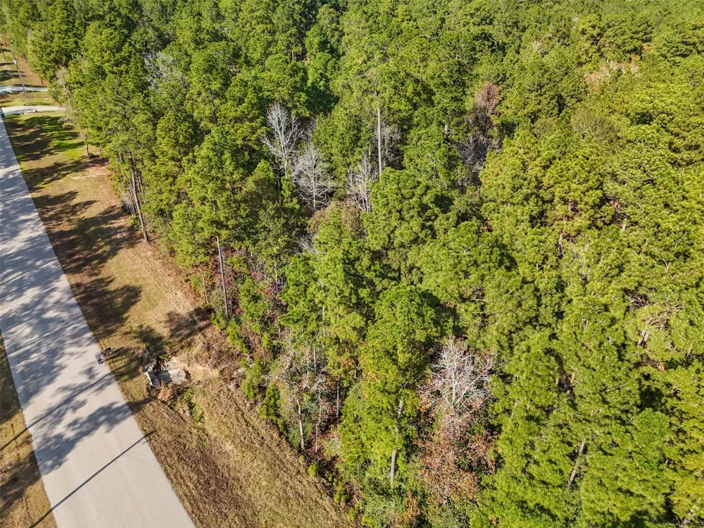 Windmill Road New Waverly, TX 77358