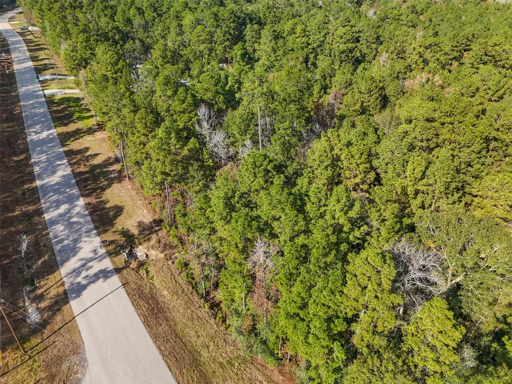 Windmill Road New Waverly, TX 77358