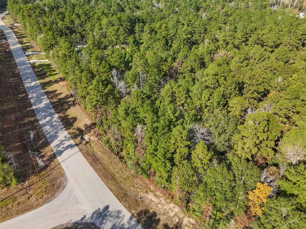 Windmill Road New Waverly, TX 77358