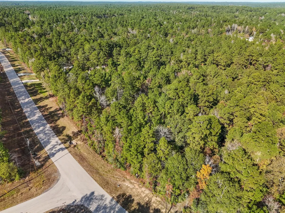 Windmill Road New Waverly, TX 77358