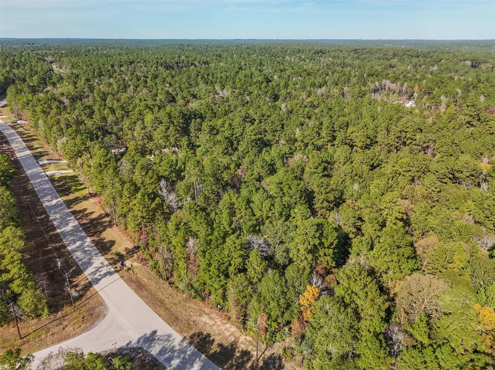 Windmill Road New Waverly, TX 77358