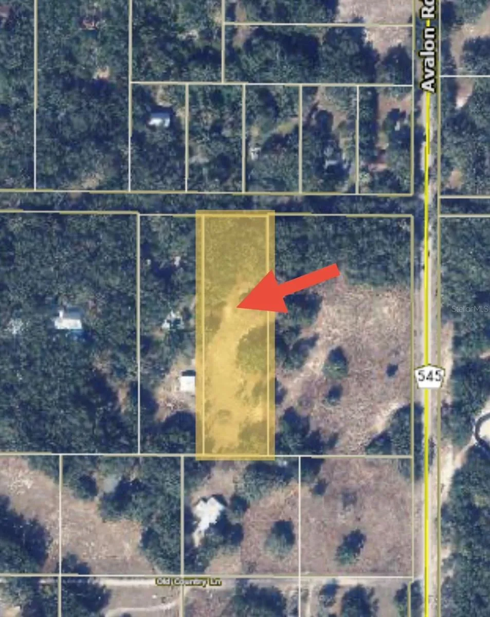 17144 PHIL C PETERS ROAD Winter Garden, FL 34787