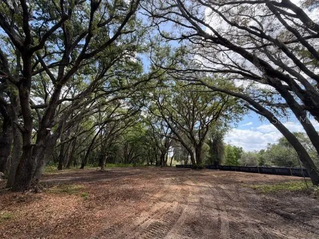 17144 PHIL C PETERS ROAD Winter Garden, FL 34787