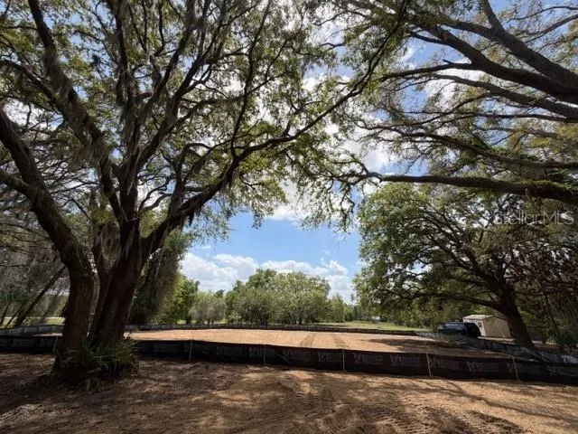 17144 PHIL C PETERS ROAD Winter Garden, FL 34787