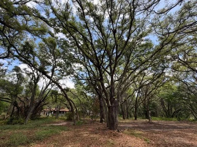 17144 PHIL C PETERS ROAD Winter Garden, FL 34787