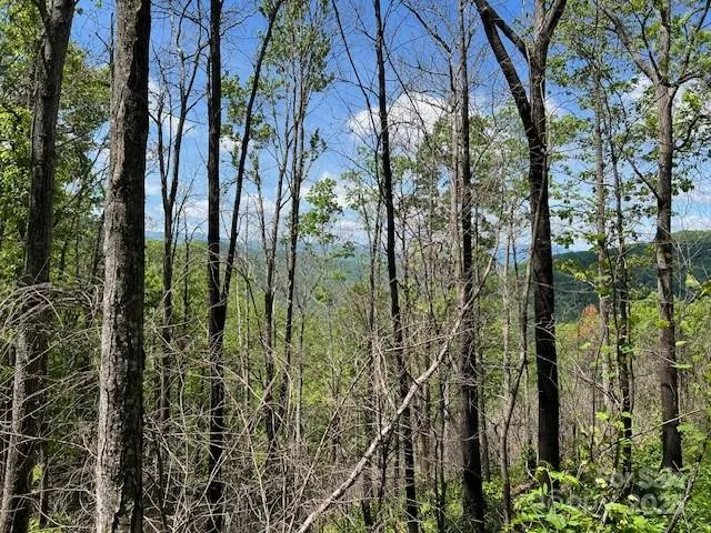 Lot 8 Falls View Drive Bryson City, NC 28713