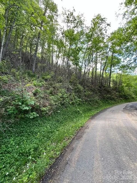 Lot 8 Falls View Drive Bryson City, NC 28713