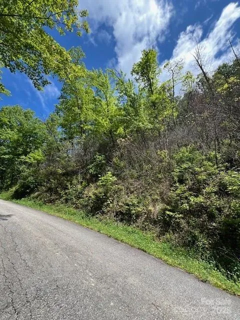 Lot 8 Falls View Drive Bryson City, NC 28713