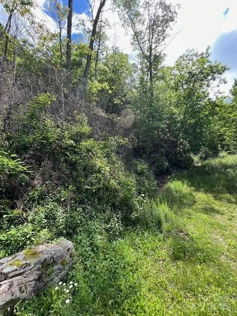Lot 8 Falls View Drive Bryson City, NC 28713