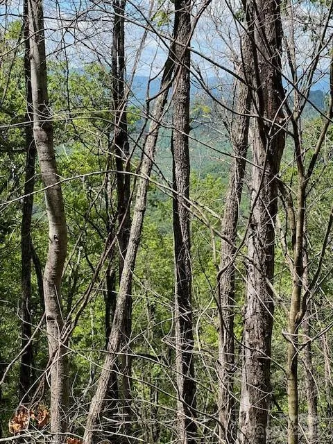 Lot 8 Falls View Drive Bryson City, NC 28713