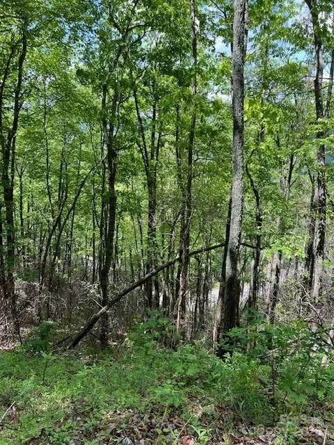 Lot 8 Falls View Drive Bryson City, NC 28713