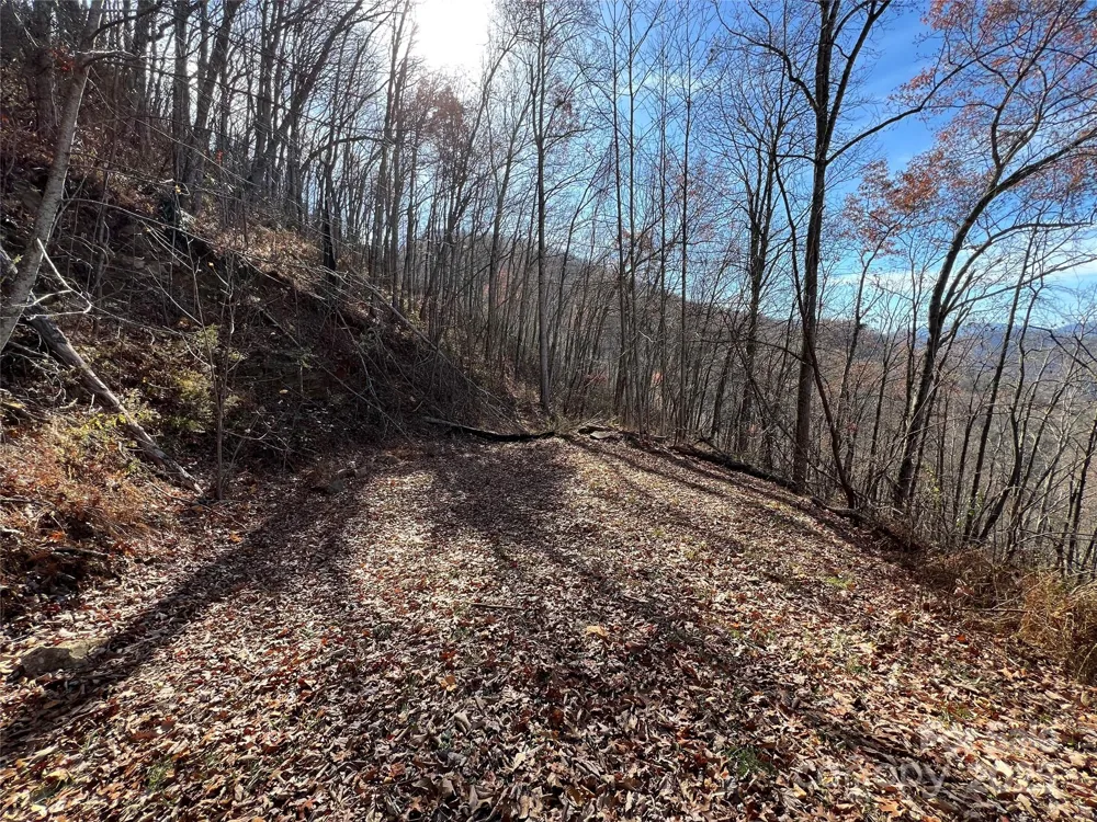 Lot 8 Falls View Drive Bryson City, NC 28713