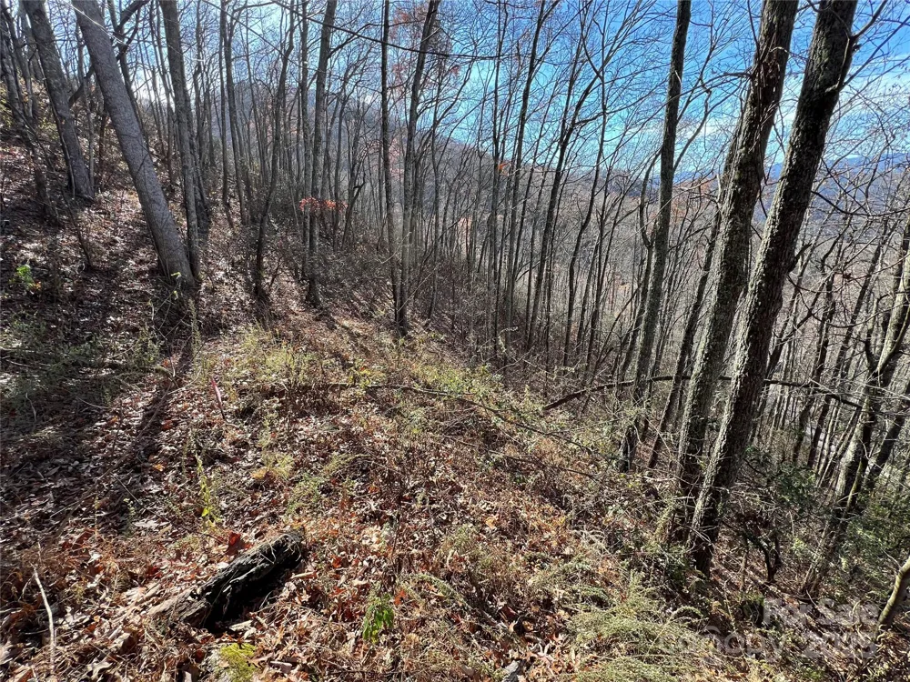Lot 8 Falls View Drive Bryson City, NC 28713