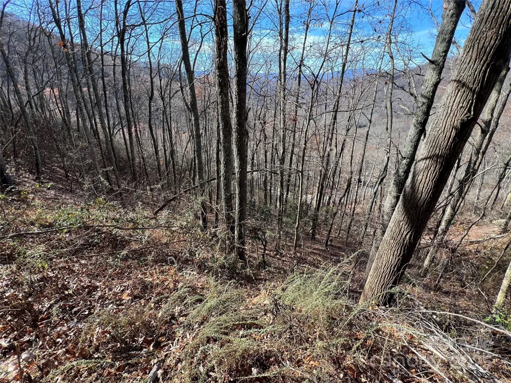 Lot 8 Falls View Drive Bryson City, NC 28713