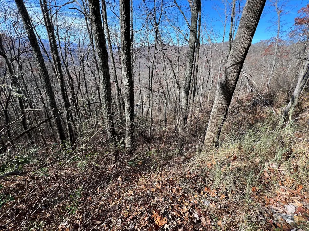 Lot 8 Falls View Drive Bryson City, NC 28713
