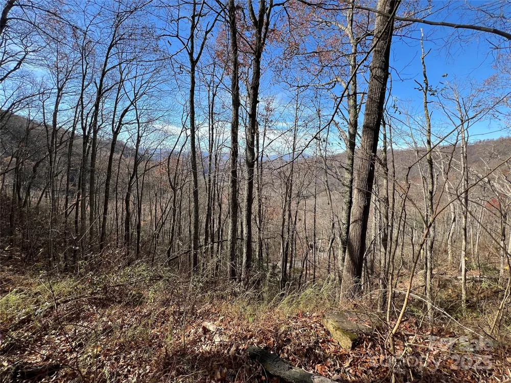 Lot 8 Falls View Drive Bryson City, NC 28713
