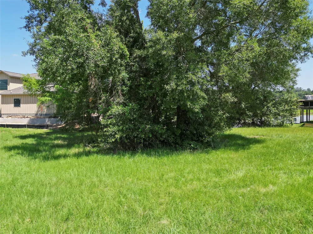 5 Wild Iris Court Huntsville, TX 77340