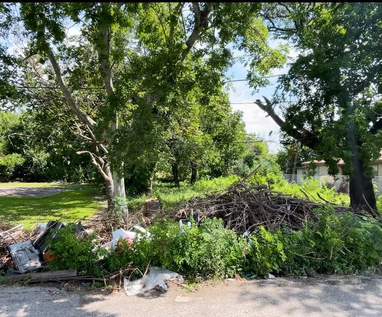 3813 Rebecca Street Houston, TX 77021