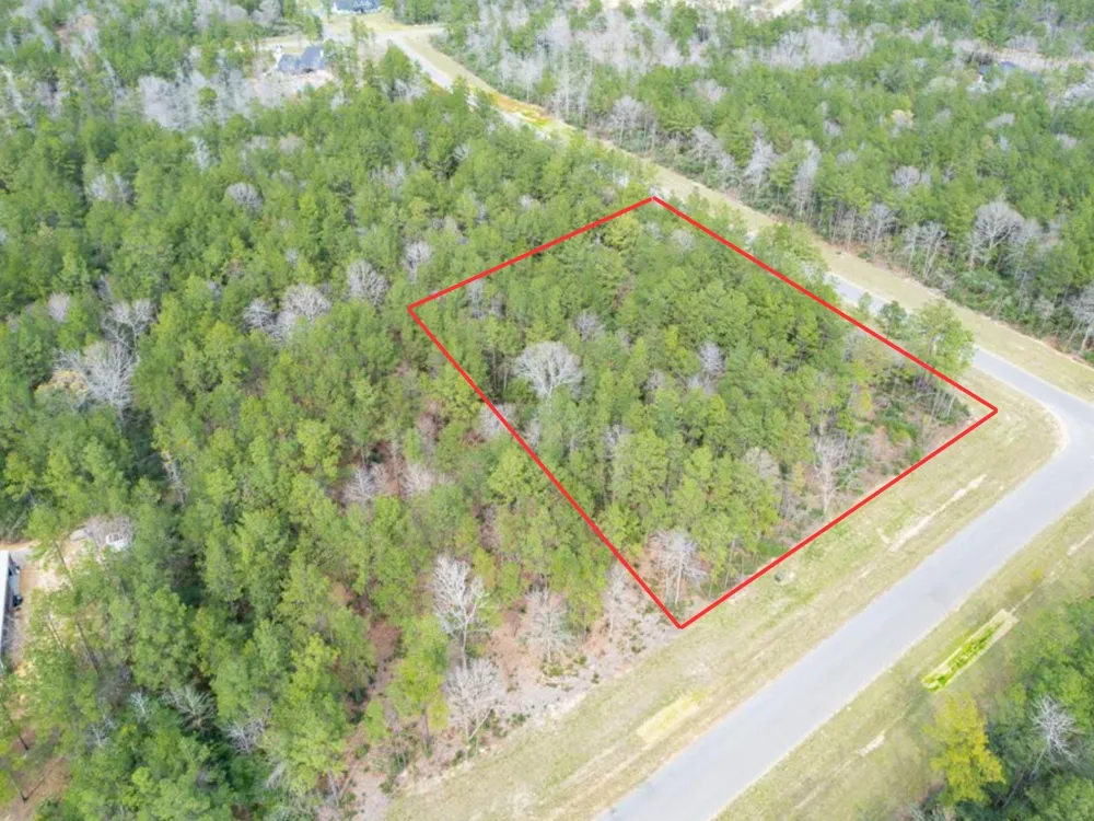 10521 Chapter Drive Willis, TX 77378