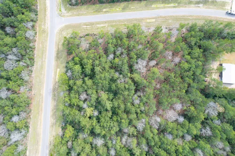 10521 Chapter Drive Willis, TX 77378