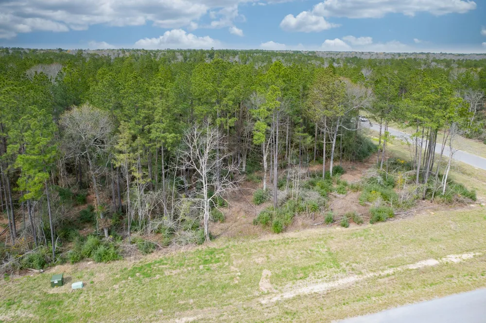 10521 Chapter Drive Willis, TX 77378