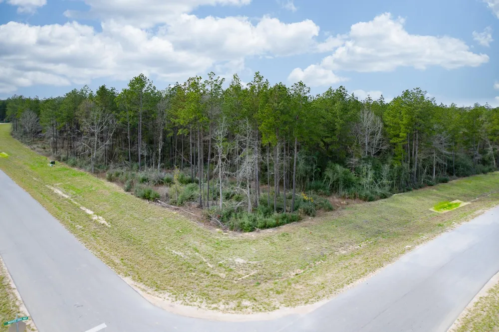 10521 Chapter Drive Willis, TX 77378