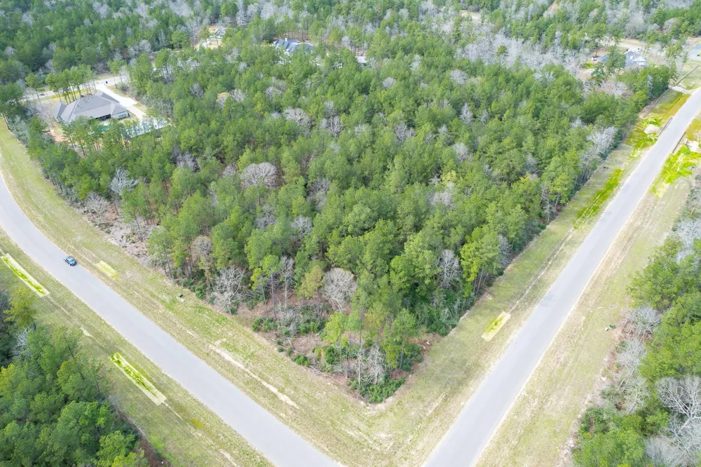 10521 Chapter Drive Willis, TX 77378