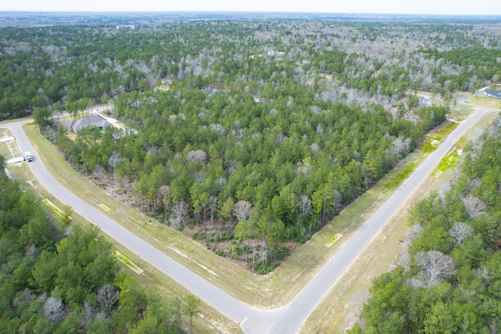 10521 Chapter Drive Willis, TX 77378