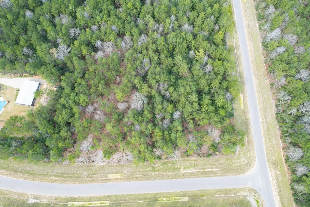 10521 Chapter Drive Willis, TX 77378