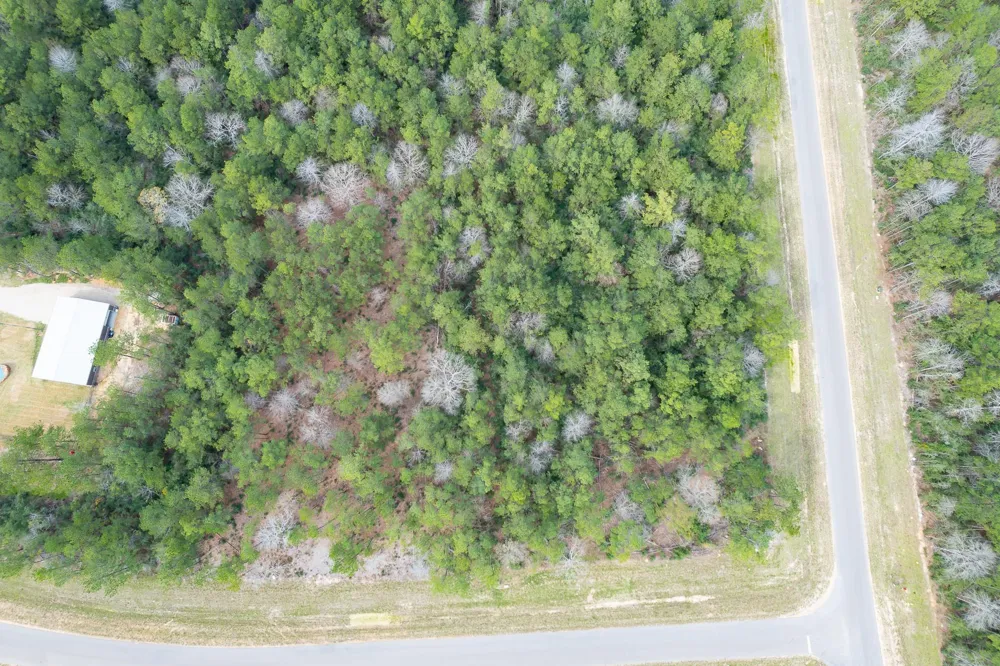 10521 Chapter Drive Willis, TX 77378
