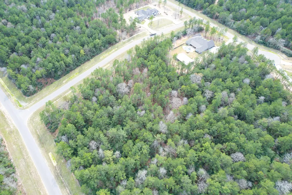 10521 Chapter Drive Willis, TX 77378