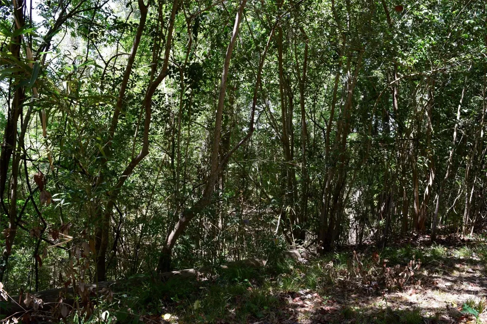 732 River Road Goodrich, TX 77335