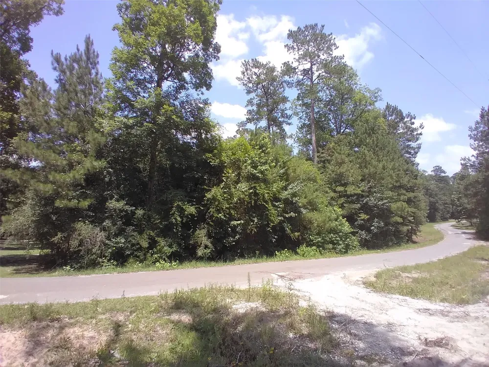14th Street Ivanhoe, TX 75979