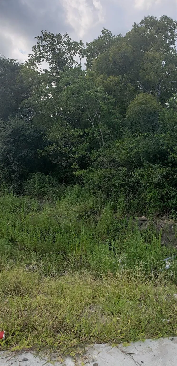Fm 2234 Houston, TX 77053