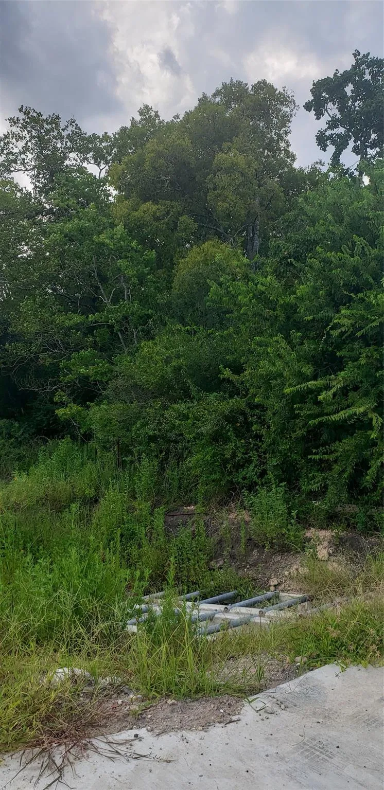 Fm 2234 Houston, TX 77053