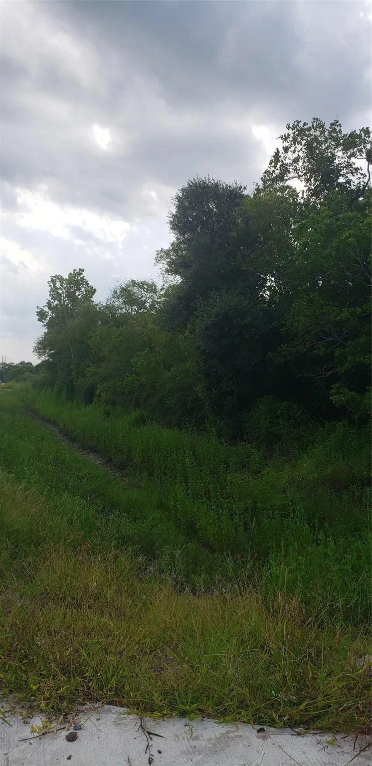 Fm 2234 Houston, TX 77053