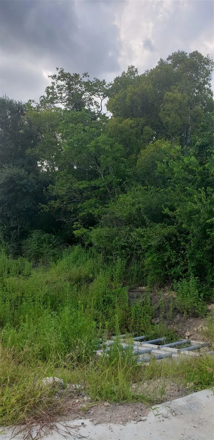 Fm 2234 Houston, TX 77053