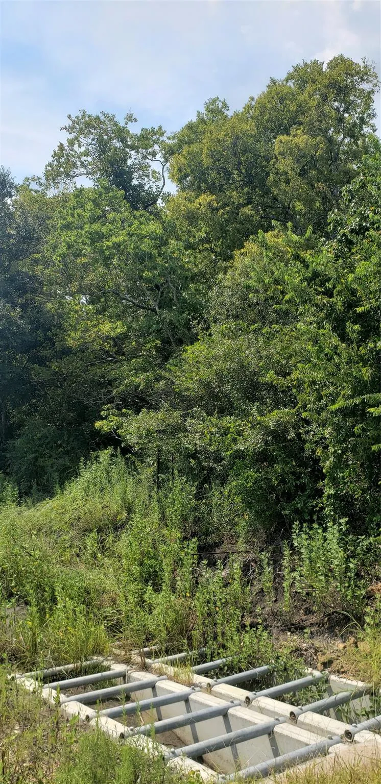 Fm 2234 Houston, TX 77053