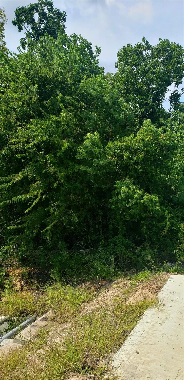 Fm 2234 Houston, TX 77053