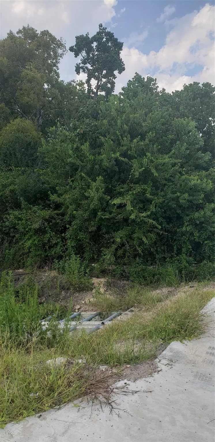 Fm 2234 Houston, TX 77053