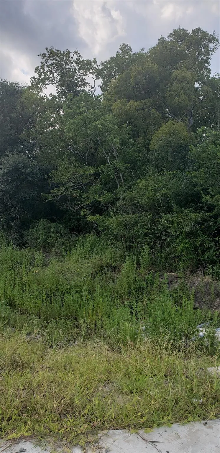 Fm 2234 Houston, TX 77053