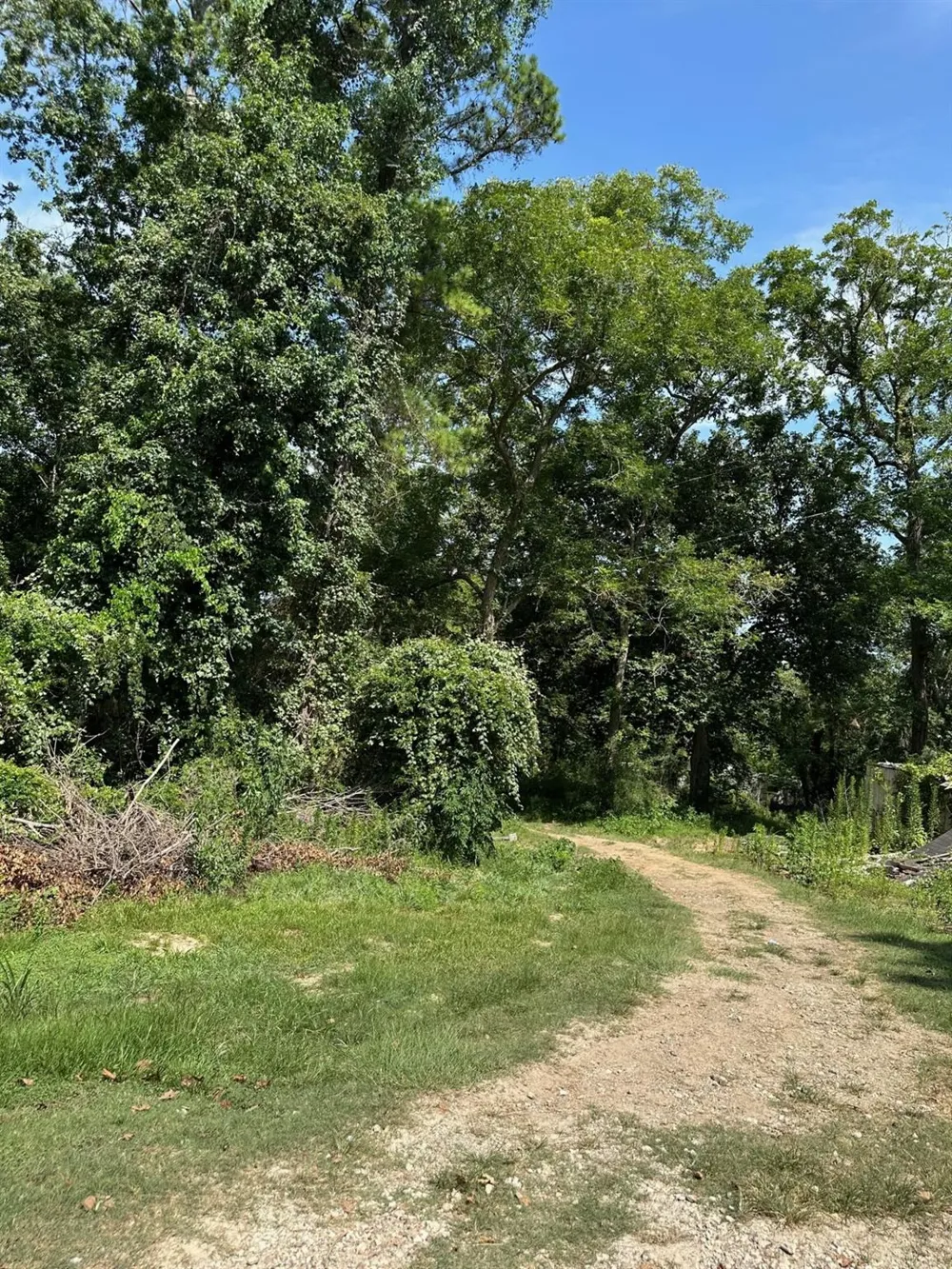 95 Rene Or Cr 443 Street Dayton, TX 77535
