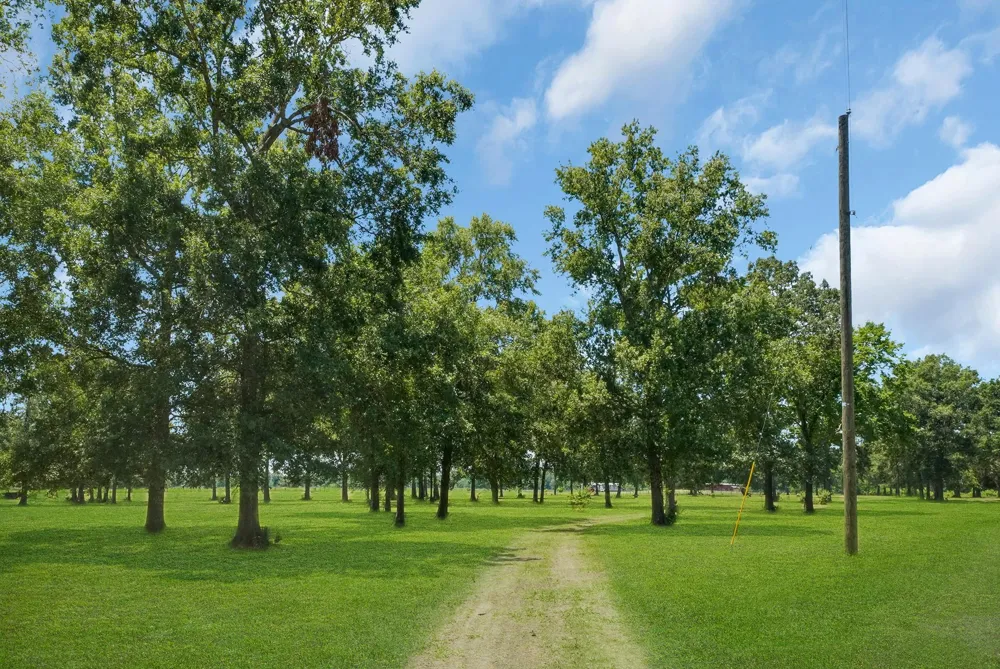 39360 Highway 105 Saratoga, TX 77585