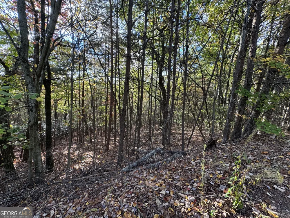 0 Highlands DR Clarkesville, GA 30523