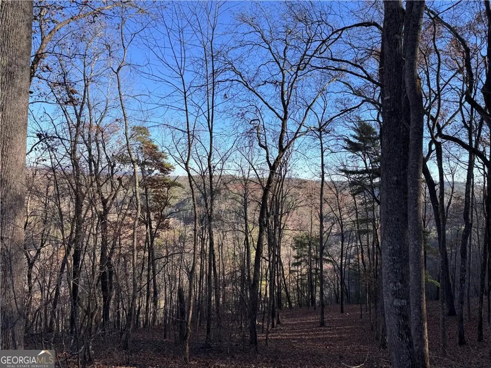 803 Greenwood CIR Ranger, GA 30734