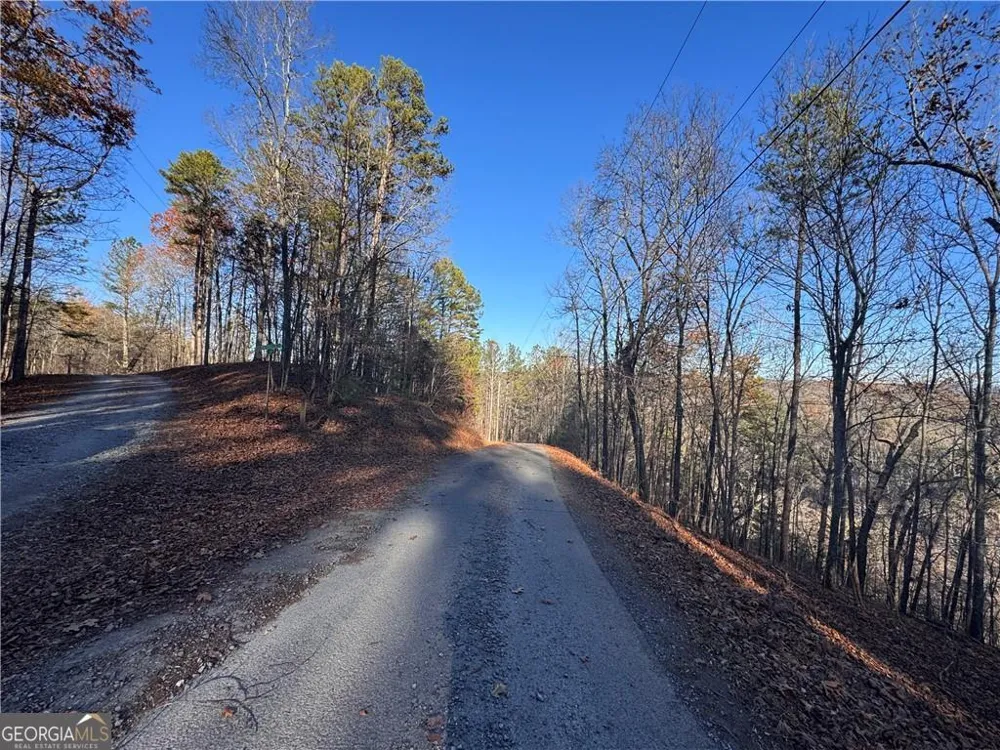 803 Greenwood CIR Ranger, GA 30734