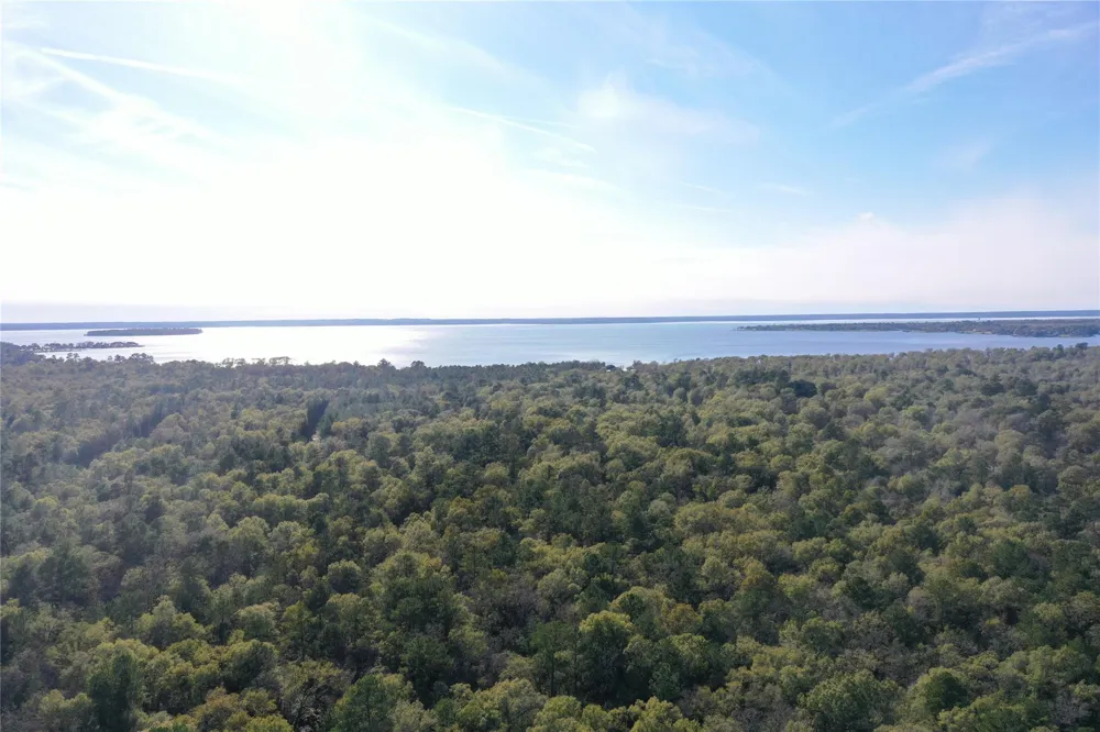 Mangum Road West Livingston, TX 77351