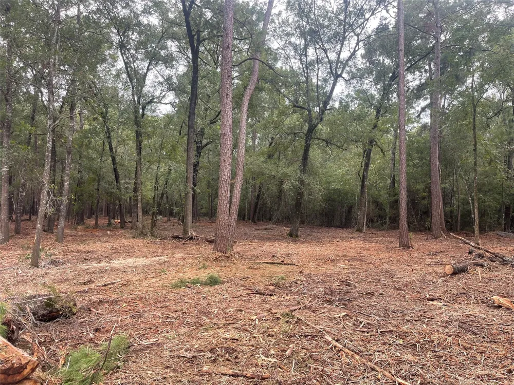 Mangum Road West Livingston, TX 77351