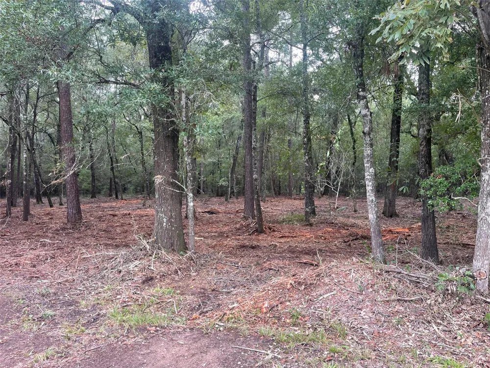 Mangum Road West Livingston, TX 77351